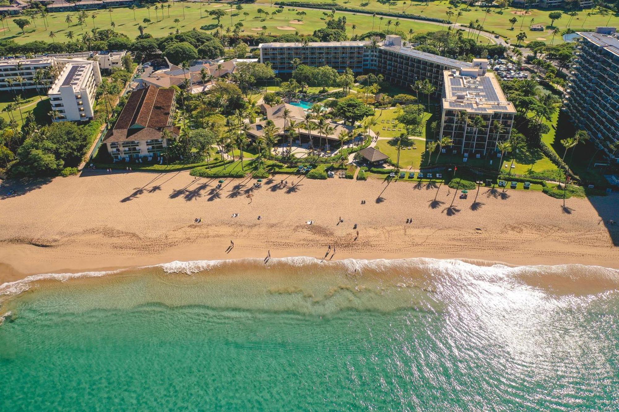 4 Hoteles Románticos en Hawái Que Enamoran a las Parejas