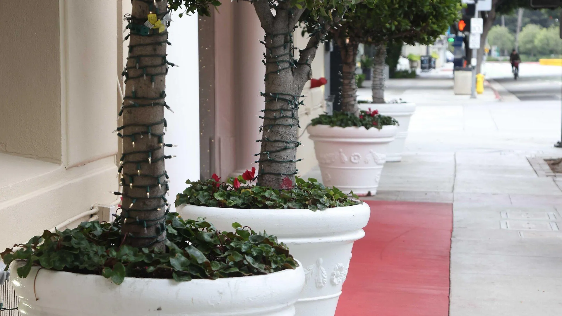 5 Hoteles Céntricos en Santa Mónica que Vale la Pena Reservar