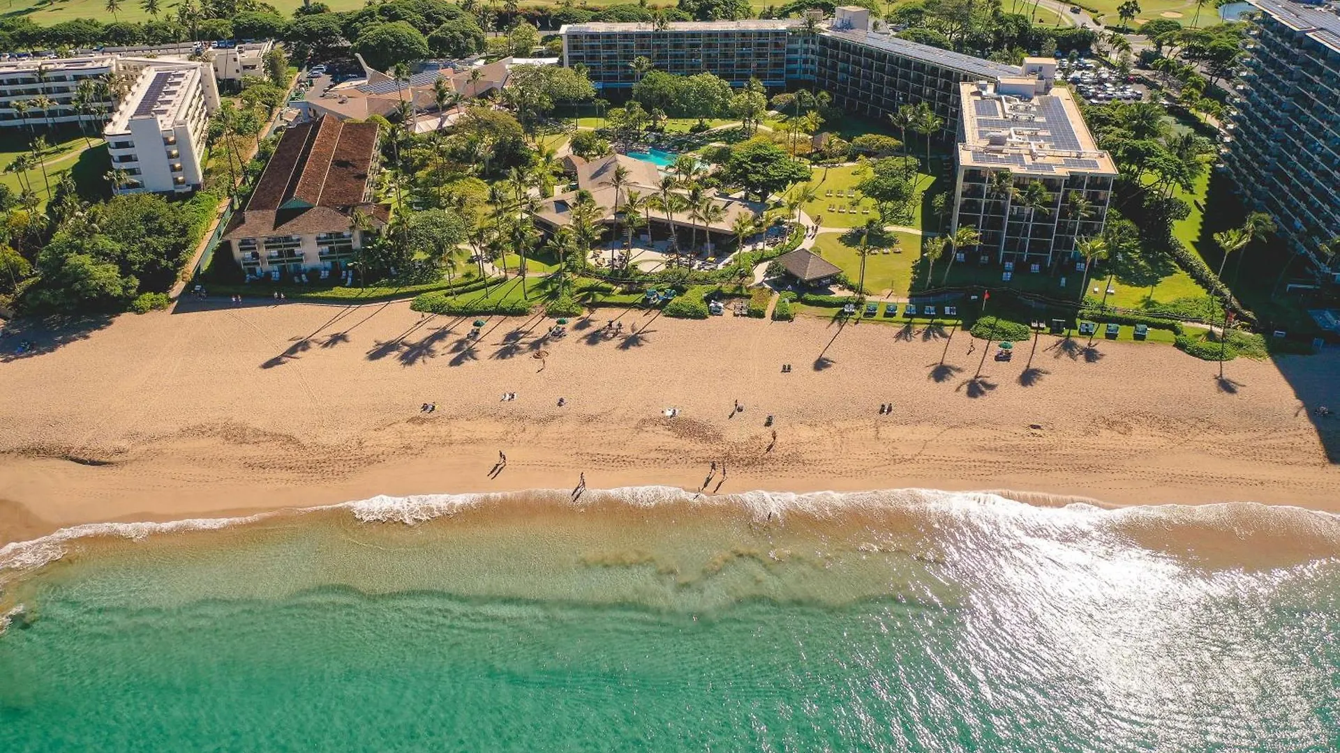 4 Hoteles Románticos en Hawái Que Enamoran a las Parejas